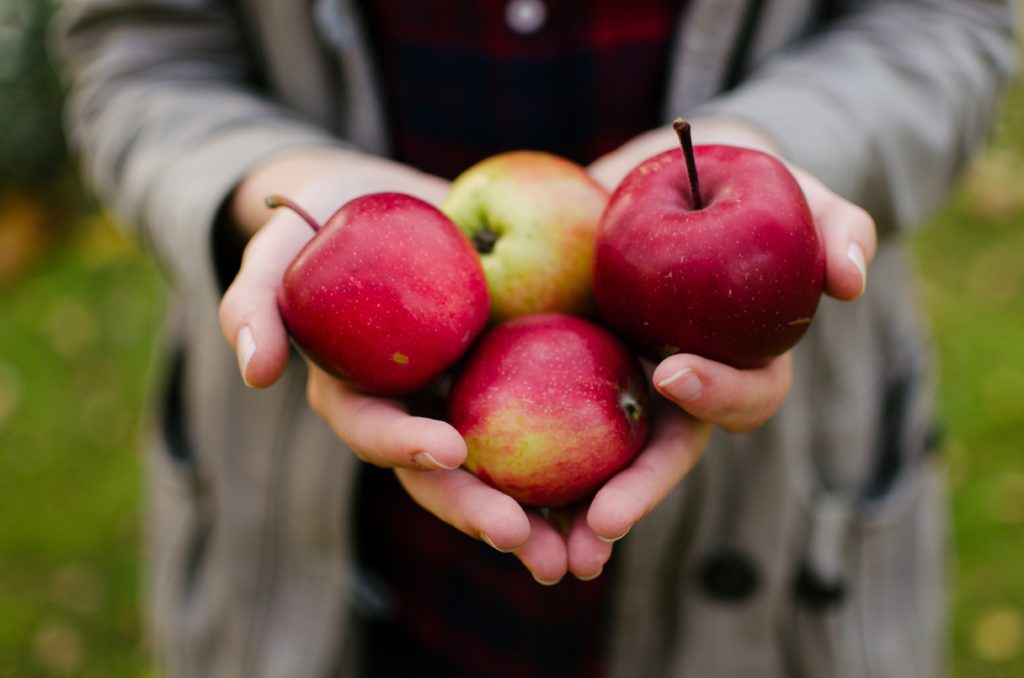Fall Smoothie Recipe